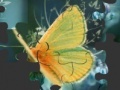 Igra Butterfly