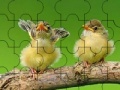 Igra Two cute sparrow puzzle