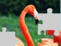 Igra Flamingo puzzle