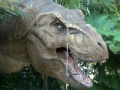Igra Tyrannosaurus Rex Jigsaw