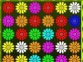 Igra Flower Action Puzzle
