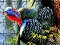 Igra Colorful turkey in the forest puzzle