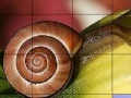 Igra Snail and flower slide puzzle