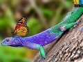 Igra Lizard and butterflies puzzle