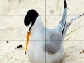 Igra Orange beak bird slide puzzle