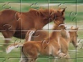 Igra Horse Family Jigsaw Puzzle