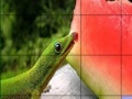Igra Hungry chameleons slide puzzle
