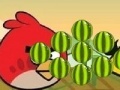 Igra Angry Birds - cut the rope