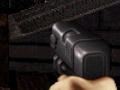 Igra Duke Nukem: FPS