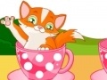 Igra Cat in Cup