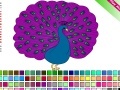 Igra Peacock Coloring