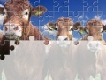 Igra Gorgeous Cows Jigsaw