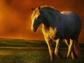 Igra The horse at Sunset