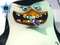 Igra Skipper at the dentist