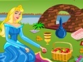 Igra Princess Aurora. Picnic cleaning