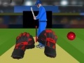 Igra Cricket tap catch