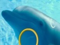 Igra Dolphin Tale 2 Hidden Alphabets