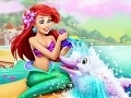 Igra Ariel Dolphin Wash