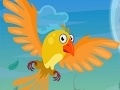 Igra Leader Bird