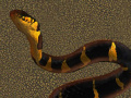 Igra Snake 