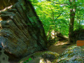 Igra Rock Lush Forest Escape