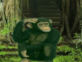 Igra Chimpanzee Forest Escape