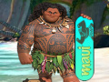 Igra Maui Sandboard