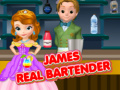 Igra James Real Bartender