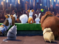 Igra The Secret Life Of Pets Find Objects