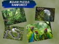 Igra Jigsaw Puzzle Rain Forest 