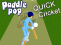 Igra Paddle Pop Quick Cricket
