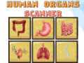 Igra Human Organs Scanner