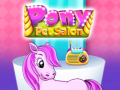 Igra Pony Pet Salon