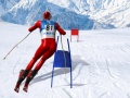 Igra Slalom Ski Simulator