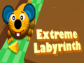 Igra Extreme Labyrinth