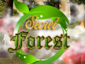 Igra Secret Forest