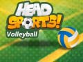 Igra Head Sports Volleyball