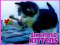 Igra Six Little Kittens