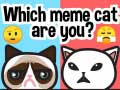 Igra Which Meme Cat Are You?