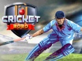 Igra Cricket 2020