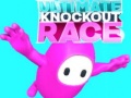 Igra Ultimate Knockout Race
