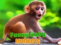 Igra Funny Baby Monkey