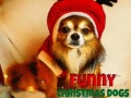Igra Funny Christmas Dogs