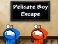 Igra Delicate Boy Escape