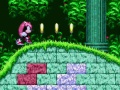 Igra Mighty & Ray In Sonic 2