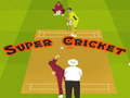 Igra Super Cricket 