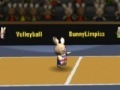 Igra Bunny volleyball