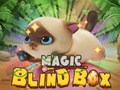 Igra Magic Blind Box