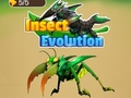 Igra Insect Evolution