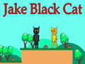 Igra Jake Black Cat